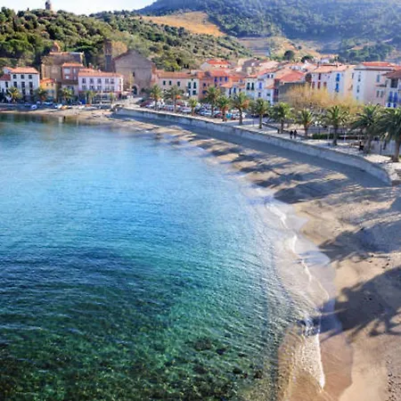 Pavillon Climatise, Proche Plages Et Village, Terrasse, Parking, Animaux Admis - - Fr-1-732-4 Argeles-sur-Mer